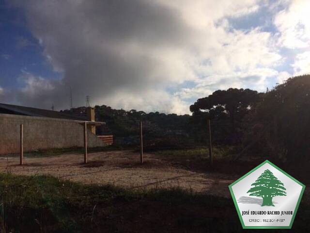 #1053 - Terreno para Venda em Campos do Jordão - SP - 3