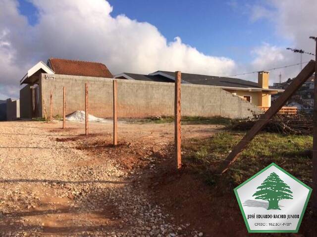 #1053 - Terreno para Venda em Campos do Jordão - SP - 1