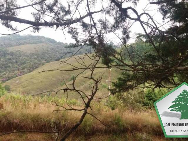 #154 - Terreno para Venda em Campos do Jordão - SP - 1