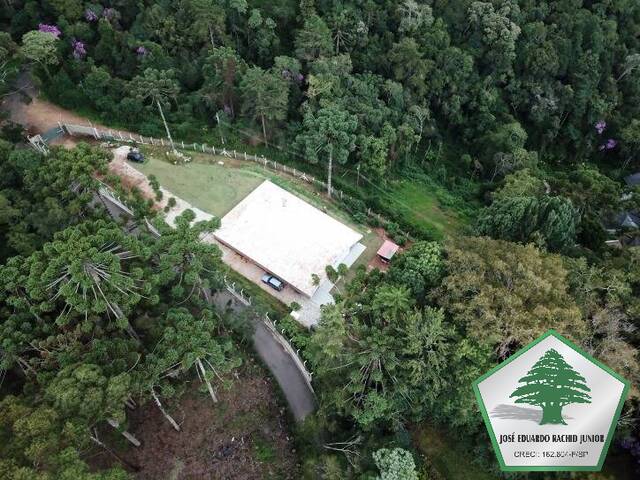 Casa para Venda em Campos do Jordão - 4