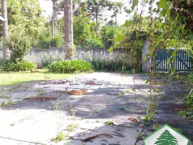 Casa para Locação em Campos do Jordão - 4