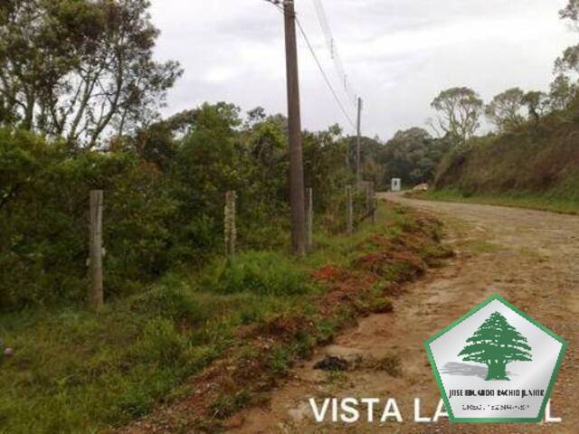 #125 - Terreno para Venda em Campos do Jordão - SP - 1