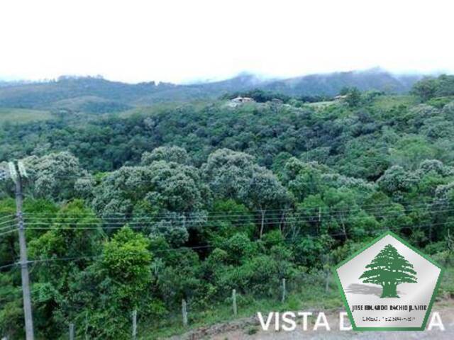 #125 - Terreno para Venda em Campos do Jordão - SP - 2