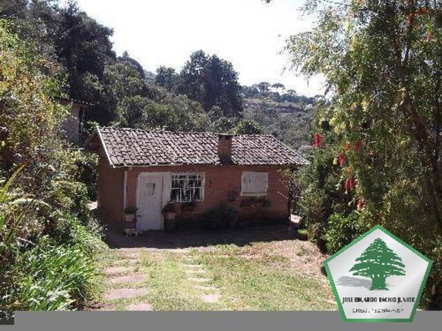 Casa para Venda em Campos do Jordão - 2