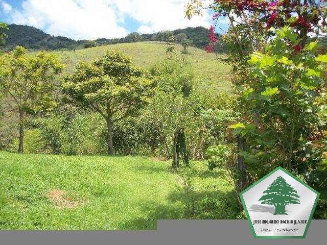 Sítio para Venda em Piranguçu - 4