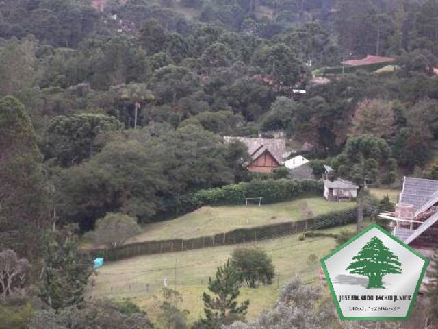 #45 - Terreno para Venda em Campos do Jordão - SP - 2