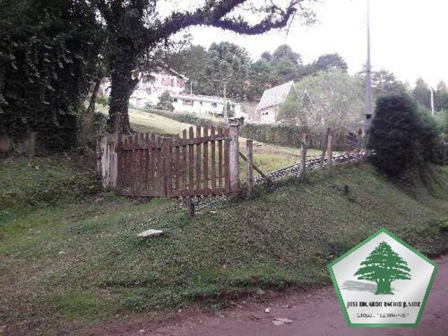 #45 - Terreno para Venda em Campos do Jordão - SP - 1