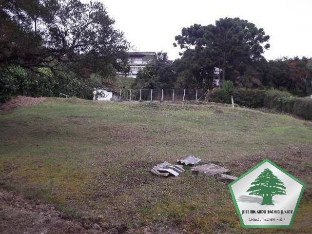 #45 - Terreno para Venda em Campos do Jordão - SP - 3