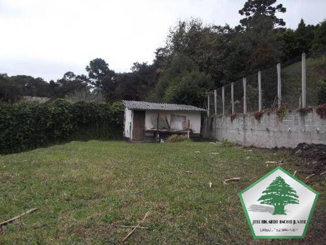 Terreno para Venda em Campos do Jordão - 4