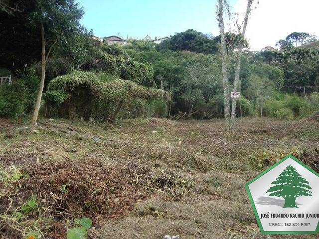 #157 - Terreno para Venda em Campos do Jordão - SP - 2