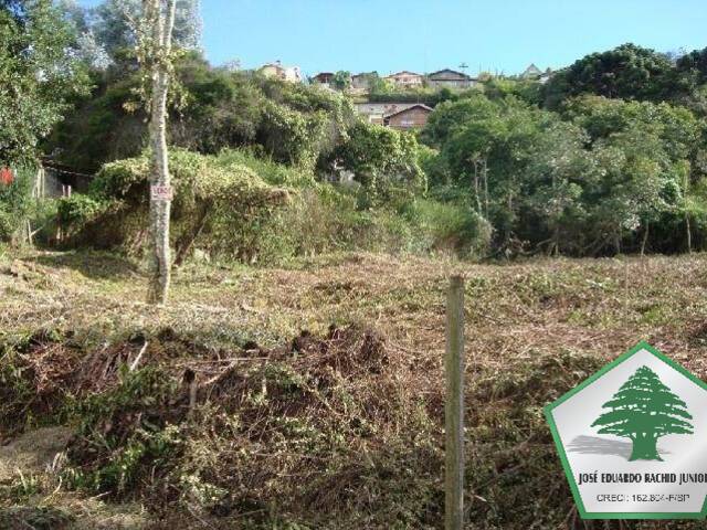 #157 - Terreno para Venda em Campos do Jordão - SP - 1