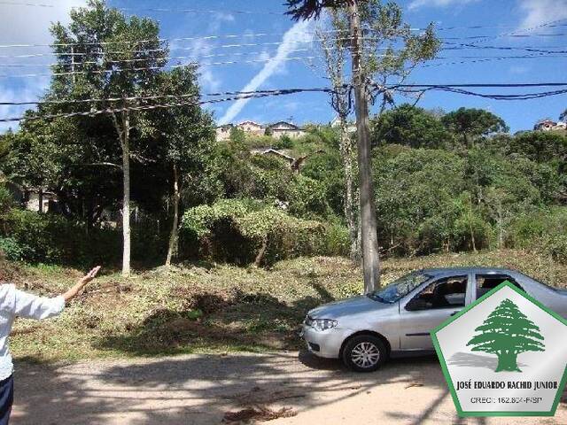 Terreno para Venda em Campos do Jordão - 4